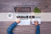 bitcash是比特币，bitdns币比特