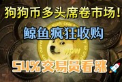 狗狗币的暴涨，最近大涨的狗狗币究竟是什么